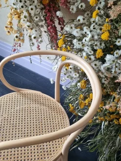 209 Armstol, ask fra<Thonet Clearance