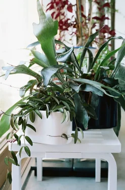 Bench 153 B fra<Artek Discount