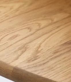 C69E Spisebord inkl. 2 tillægsplader fra<FDB Møbler Discount