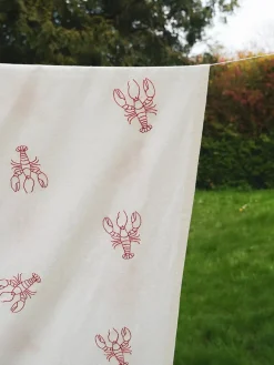 Celebration Dug fra<Blåmst Sale