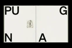 Chidy Wayne fra<New Mags Hot