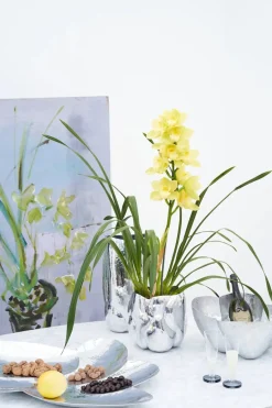 Cloud Vessel fra<Tom Dixon Online