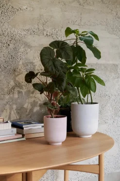 Collect Planter SC70 fra<&Tradition Best