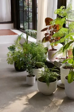 Collect Planter SC70 fra<&Tradition Best