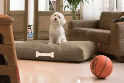 Doggielounge L Canvas Recycled - Hundekurv fra<Fatboy Clearance