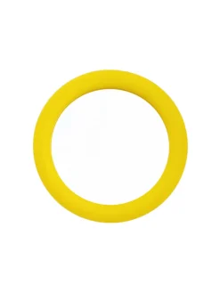 Duplum Spejl, chameleon fra<raawii Hot