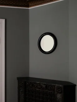 Duplum Spejl, chameleon fra<raawii Hot