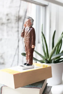 Solar Einstein<Kikkerland