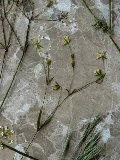 Konkylie Sofabord, marrone fra<Wabi Sabi Nordic Hot