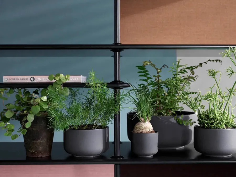 Free Reol 542000, chrome<Montana Clearance