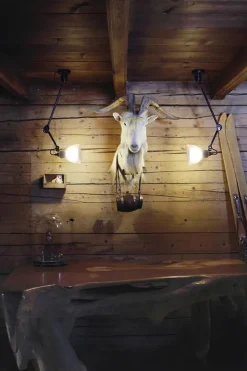 Nr. 304 L40 væglampe fra<Lampe Gras Hot