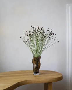 Ostrea Vase, klart glas fra<Hein Studio Online