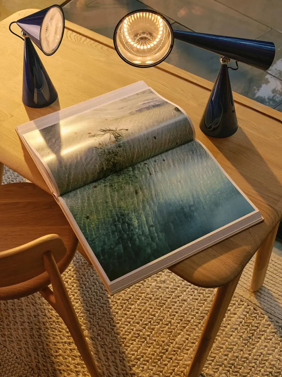 Pose Portable Bordlampe fra<Tom Dixon Clearance