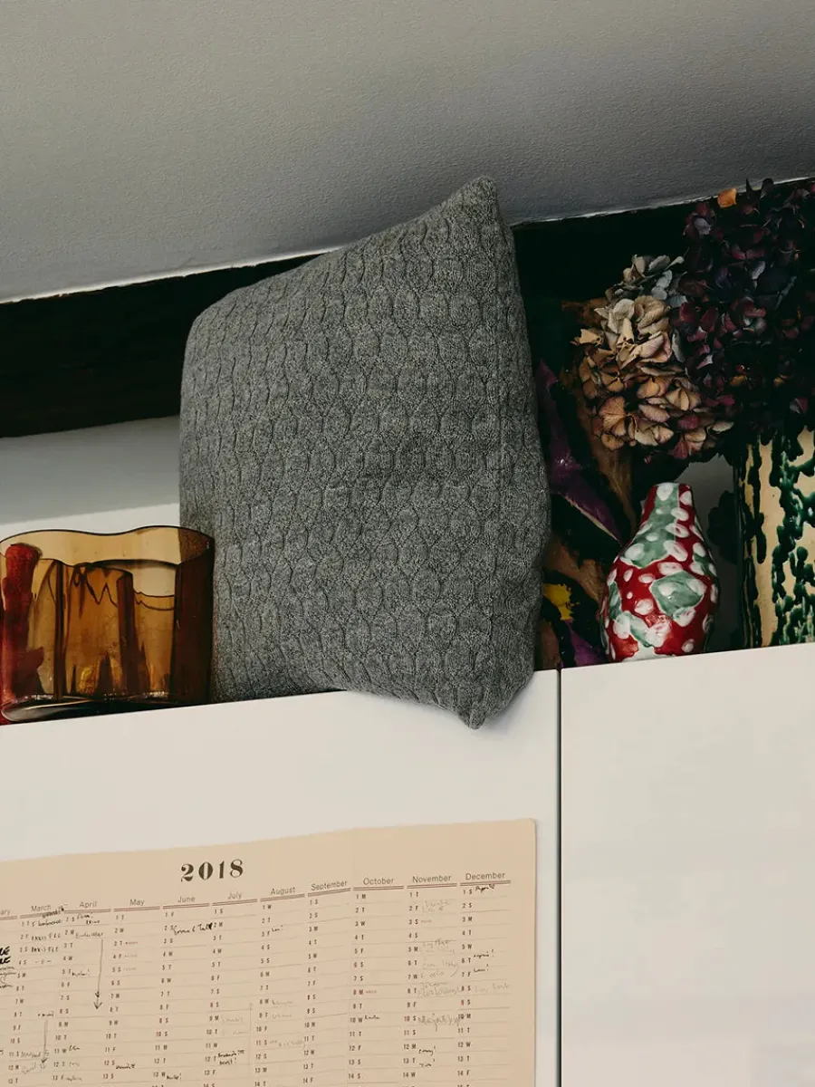 Raul Pude, Albicant fra<Aiayu New