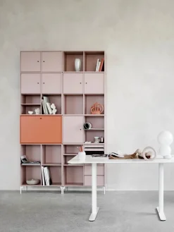 Skrivebordsmodul 4119 fra<Montana Online