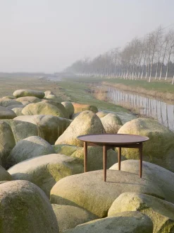Slow Coffee Table Ø 80 cm, walnut fra<Stellar Works Hot