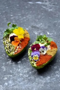 The Avocado Book fra<New Mags Clearance