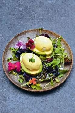 The Avocado Book fra<New Mags Clearance