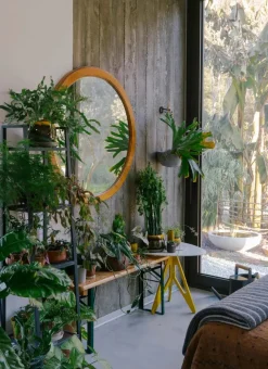 The Kinfolk Garden fra<New Mags Clearance