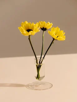 Tiny Vase fra<HAY Online