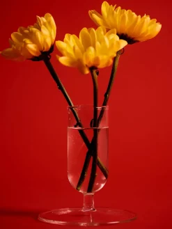 Tiny Vase fra<HAY Online